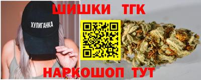 МДПВ Пенза