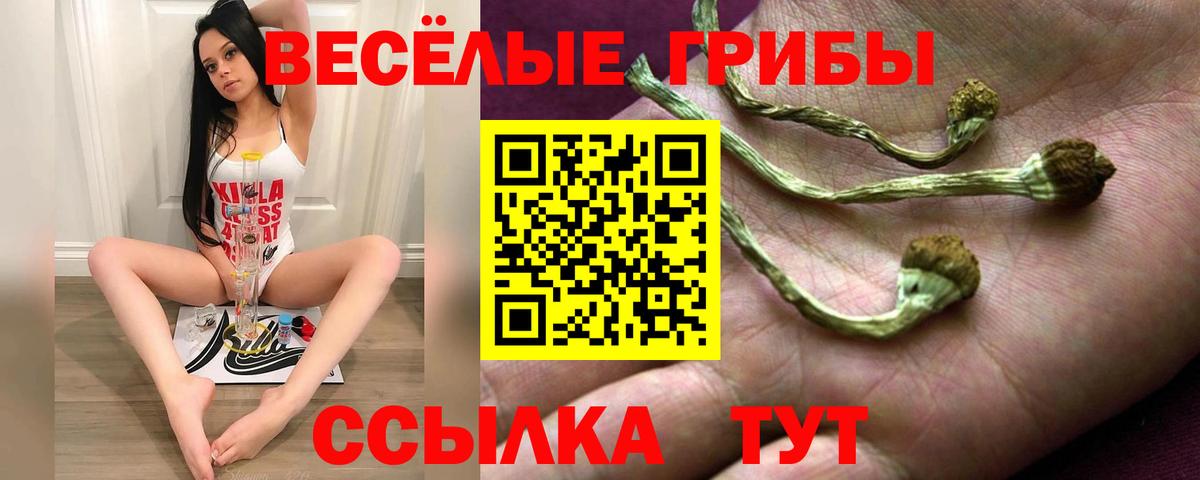 Симферополь  Псилоцибиновые грибы мицелий  Вход с VPN 