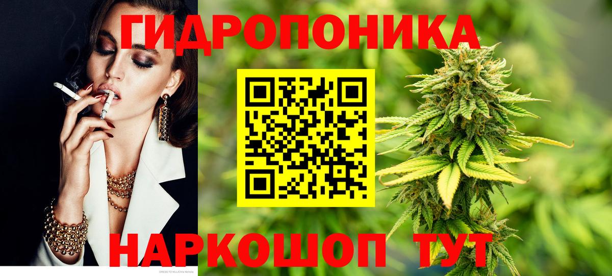Бошки марихуана семена  Бошки марихуана Bruce Banner  Конопля тримм  Симферополь  Бошки Шишки гибрид  Вход с VPN 