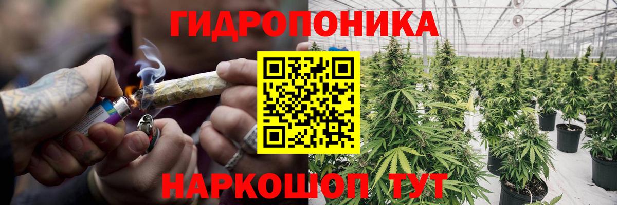 Бошки Шишки Amnesia Симферополь